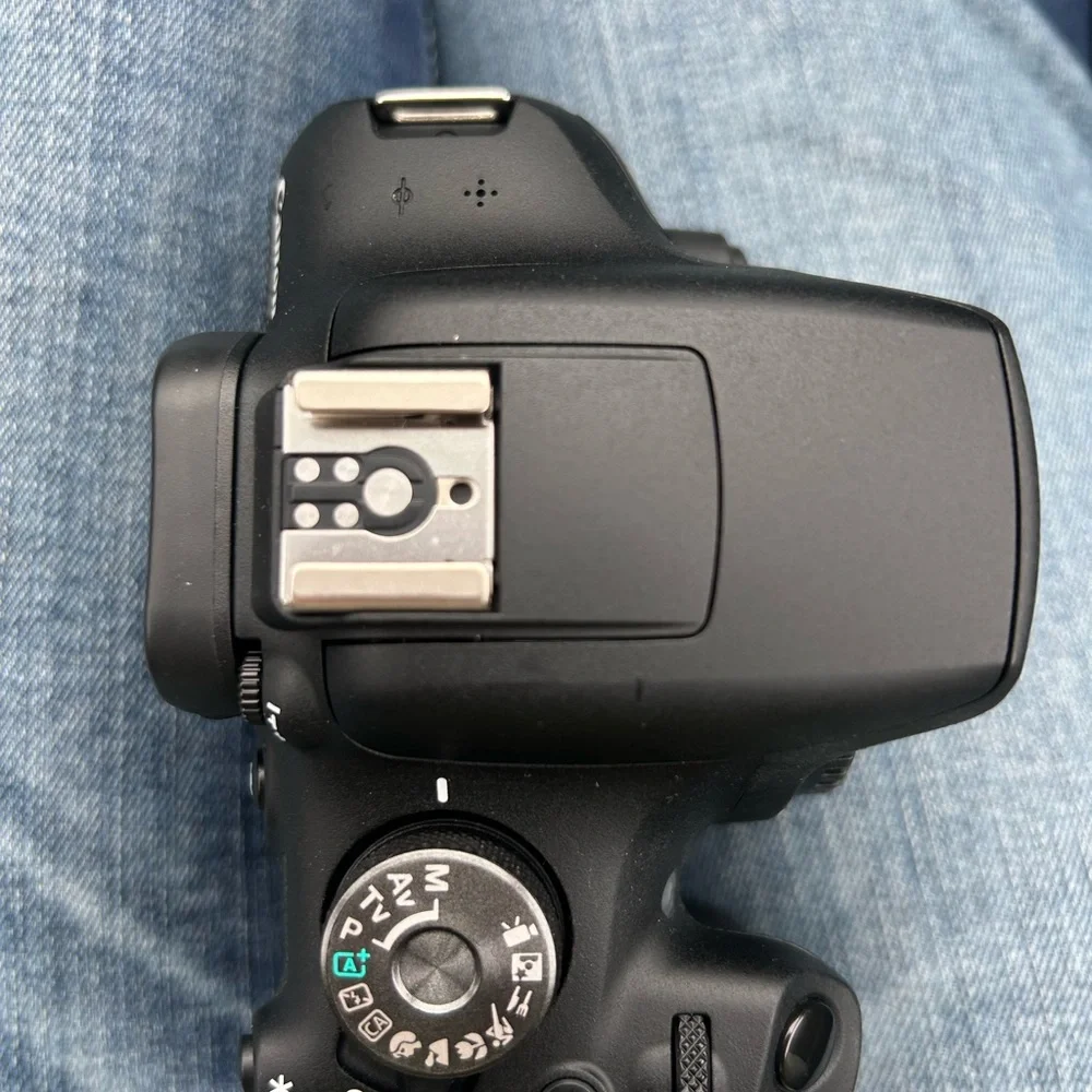 Canon rebel t7